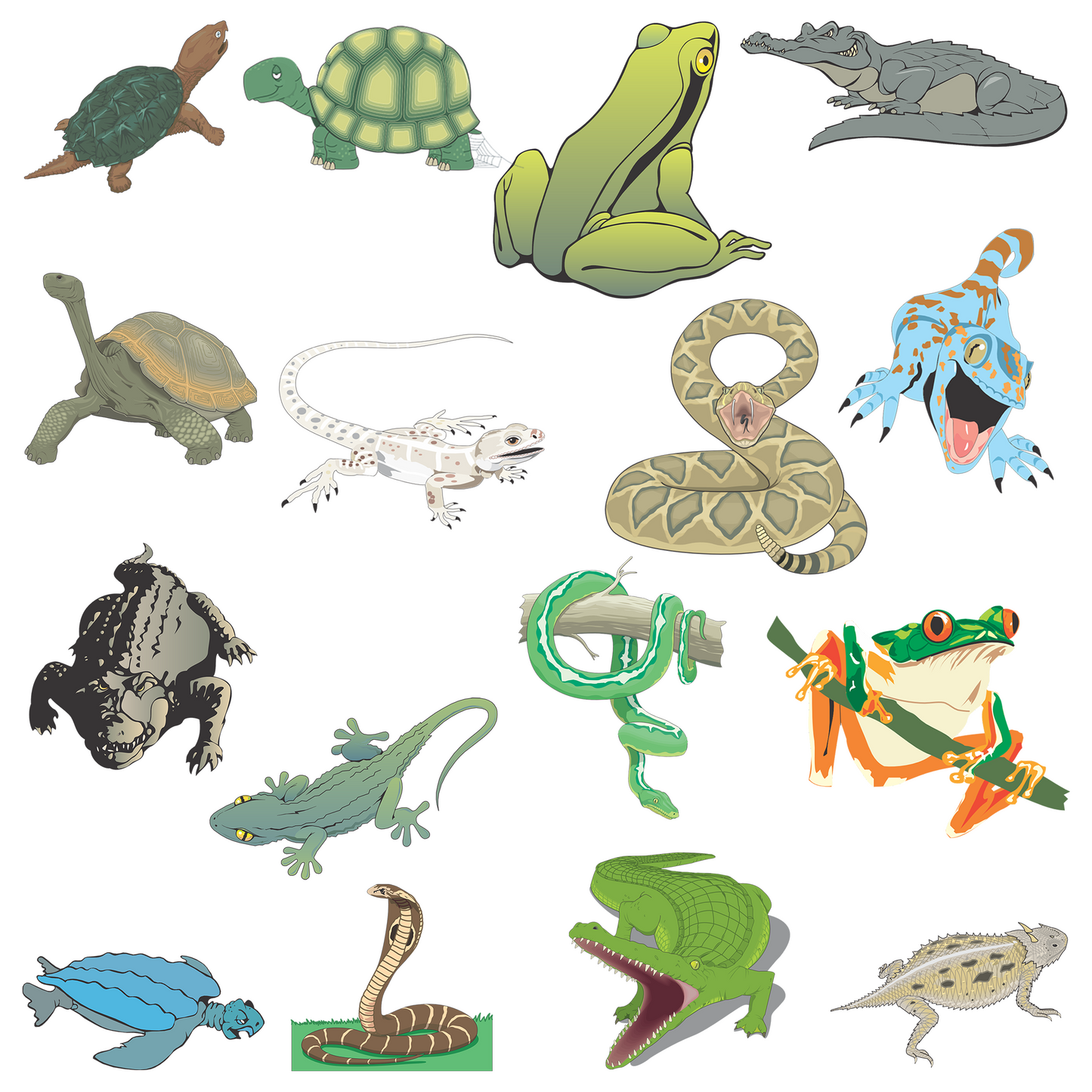 50+ Cool Reptiles Clipart Bundle