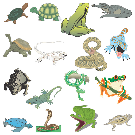 50+ Cool Reptiles Clipart Bundle