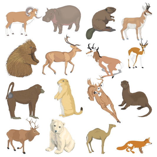 300+ Wild Animal Clipart Bundle