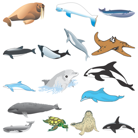 100+ Ocean Animal Illustrations – Marine Life Clipart Pack