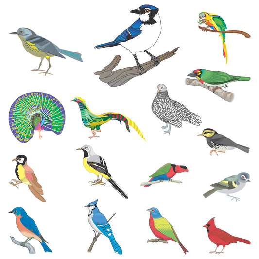 300+ Colorful Bird Clipart – Digital Aves Illustration Pack