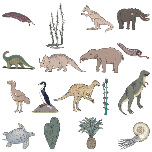 200+ Prehistoric Creatures Clipart Bundle – Digital Illustration Pack