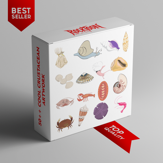 50+ Crustacean & Shellfish Clipart Collection – Digital Art Pack