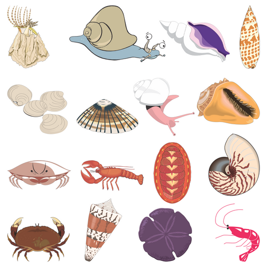 50+ Crustacean & Shellfish Clipart Collection – Digital Art Pack
